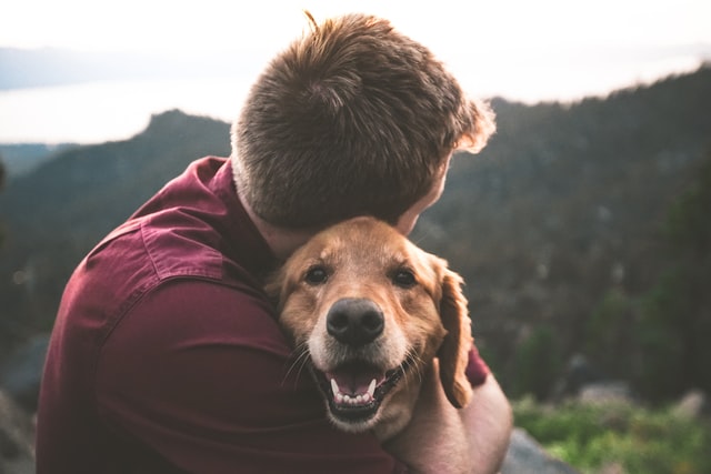 Man hugging his dog on a hillside.