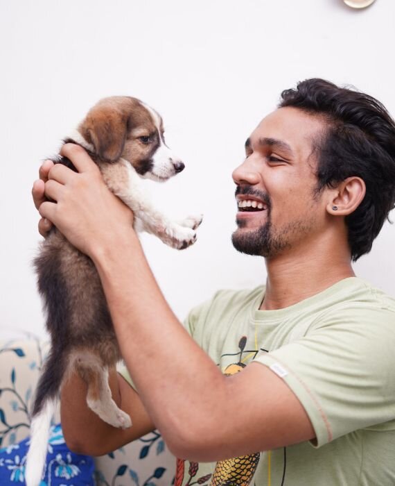 human-animal-bond-policy-priority-pet-advocacy-network